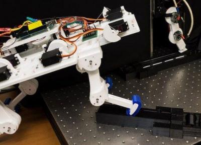 اندام روباتیکی که بدون آموزش راه می رود