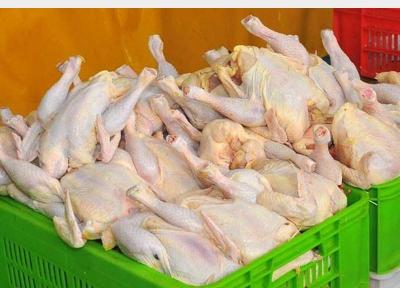 صدور مجوز واردات 45 هزار تن مرغ