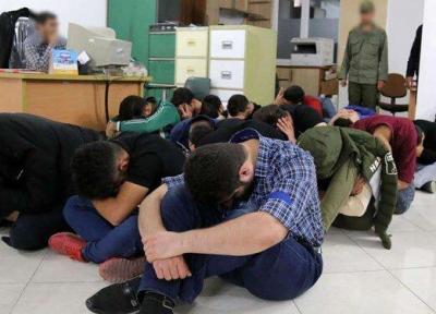 جزئیات دستگیری 29 نفر در ارتباط با فعالیت 2 شرکت هرمی