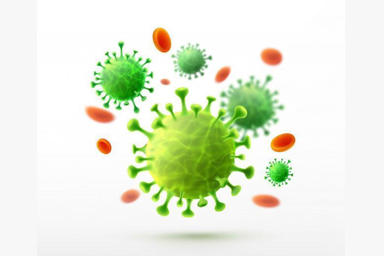 کشف گونه ای جدید از ویروس کرونا که خطرناک تر است