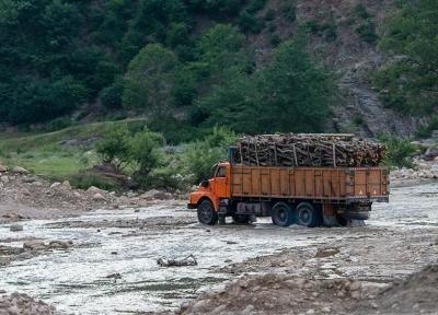خبرنگاران قاچاق چوب آفت جنگلهای گلستان