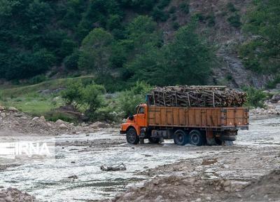 خبرنگاران کشفیات قاچاق چوب در مهاباد 90 درصد کاهش یافت