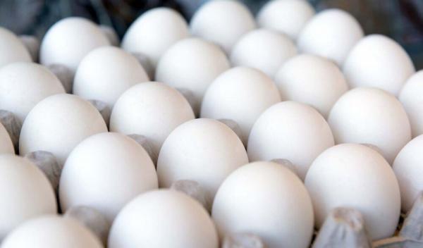 کاهش دوباره قیمت تخم مرغ