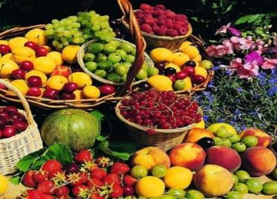میوه های تابستانی مقرون به صرفه می گردد ، تقاضا برای خرید میوه کاهش یافت؟ ، قیمت روز توت سفید، شاتوت، توت فرنگی، زردآلو، طالبی و ملون را ببینید