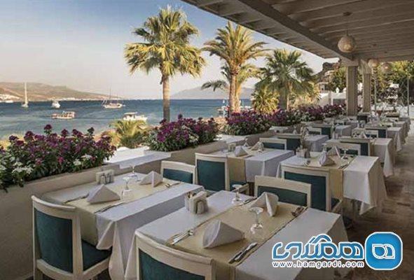 محبوب ترین رستورانهای کیش در تیر 1404 براساس جستجوها و نظرات کاربران
